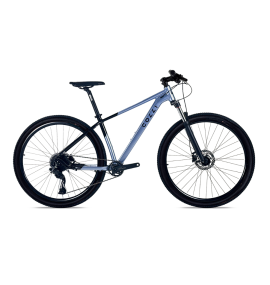 BICICLETA COLLI VALÊNCIA - ROXA